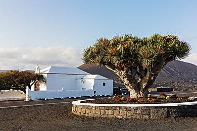《漫威暗夜之子》金刚狼背景介绍预告片分享